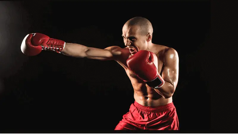 Title Boxing Leather Performance Training Glove